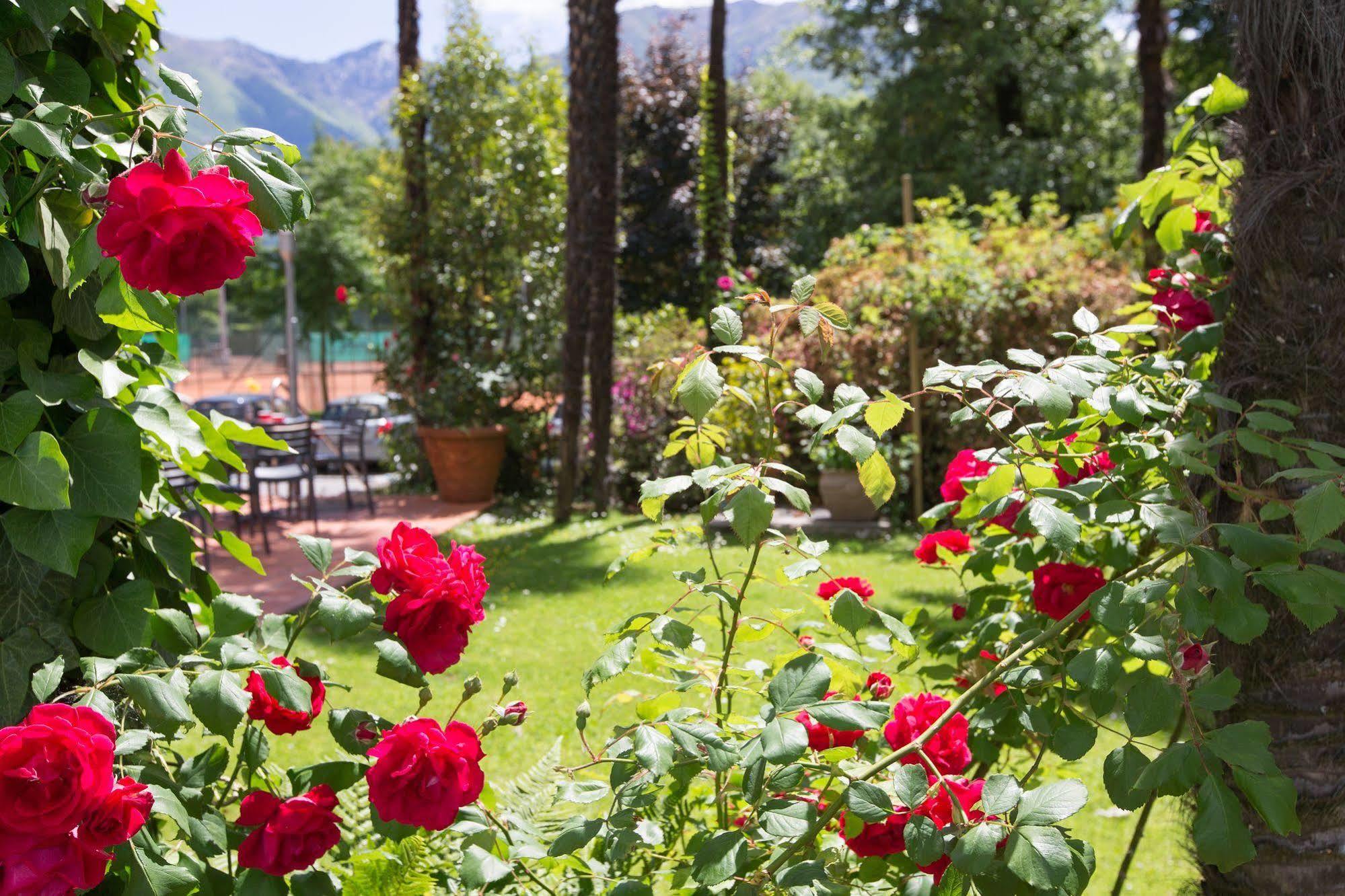 Aparthotel Al Lago Locarno Exterior foto